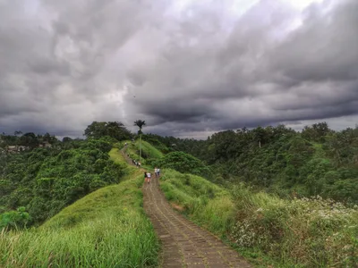 Bali: The Island of the Gods — photo 3
