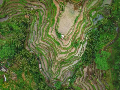 Bali: The Island of the Gods — photo 5